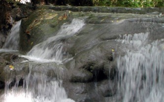 Mayfield Falls Tours
