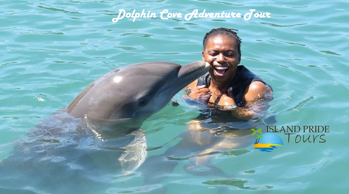 Dolphin Cove adventure tour Ocho Rios 