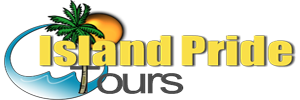 Contact us @ https://islandpridetours.com  when you need airport transportation from Sangster International Airport in Montego Bay, or Norman Manley International Airport in Kingston, to Secrets Wild Orchid, Braco Village Hotel & Spa, Grand Palladium lady Hamilton , Grand Bahia Principe Runaway Bay, Riu Montego Bay, Riu Negril, Riu  Ocho Rios, Iberostar, Sunset Beach & Spa, Sunset At The Palms, Sunset Jamaica Grande, holiday Inn Sunspree Resort, Hilton Rose Hall Hotel, Royal Decamaron Fun Caribbean, Royal Decamaron, Fisherman’s Point Ocho Rios, Rizt Carlton Rose Hall, Half Moon Hotel,